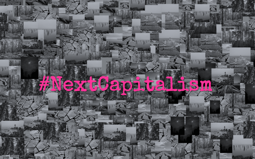 hashtag NextCapitalism in bright pink special eleite serif font on b/w background of natural images of Maine woods, sea, rocks and skies